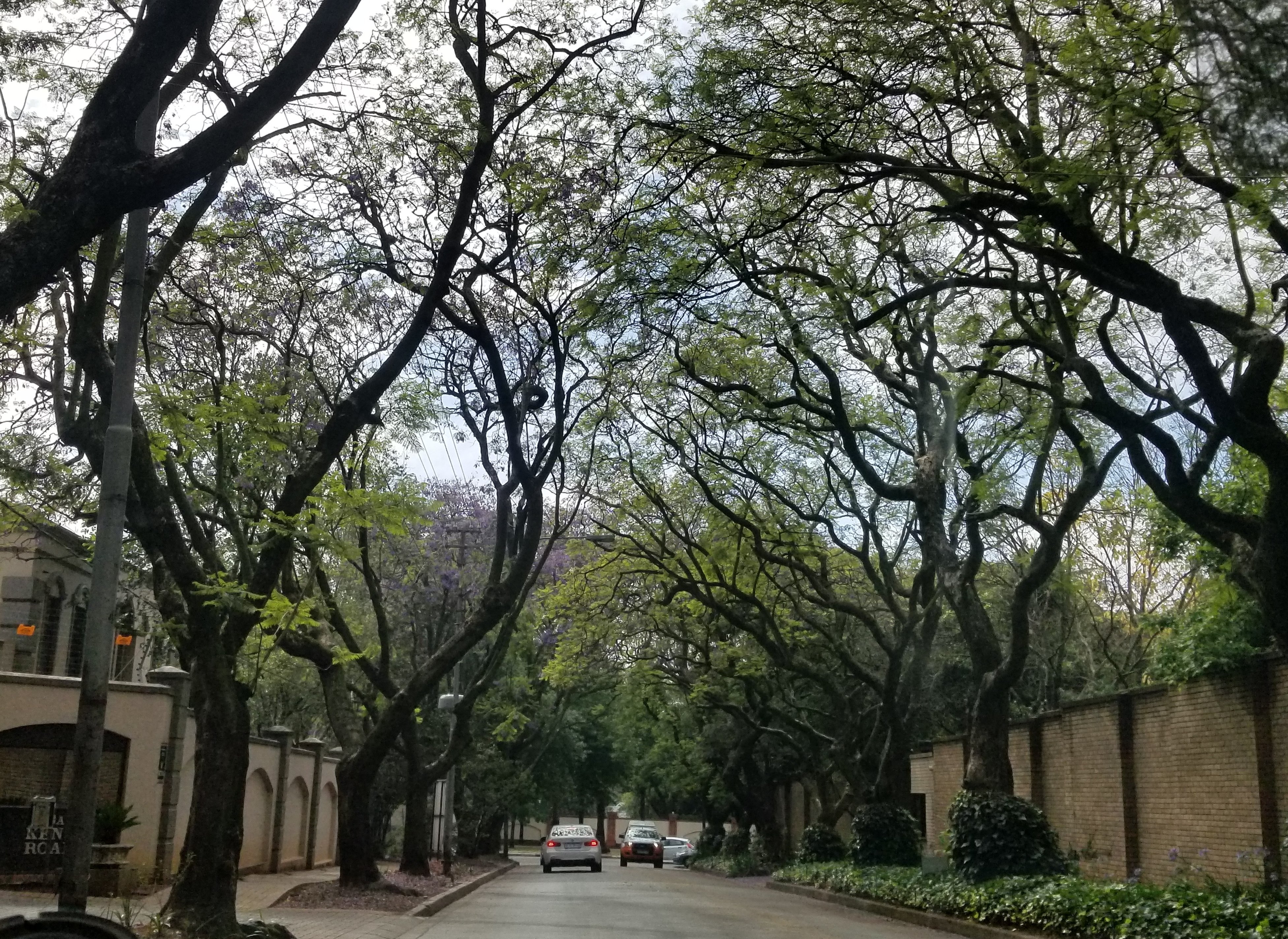 Johannesburg